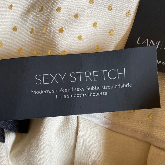 NWT Lane Bryant Golden Polka Dots Pant Size 14 - Picture 7 of 9